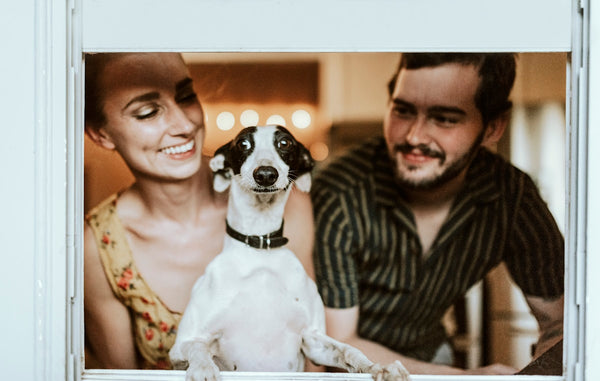 Pets